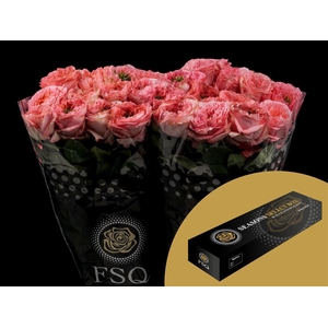 R GR Mandarin X-pression Box