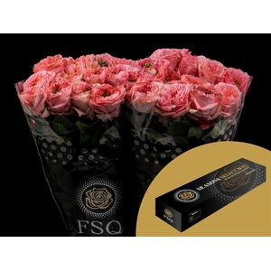 R GR Mandarin X-pression Box