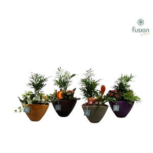 Pot keramiek ovaal 4 kleuren met Arrangement