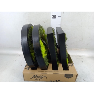 Decoratieve materialen   ...H%