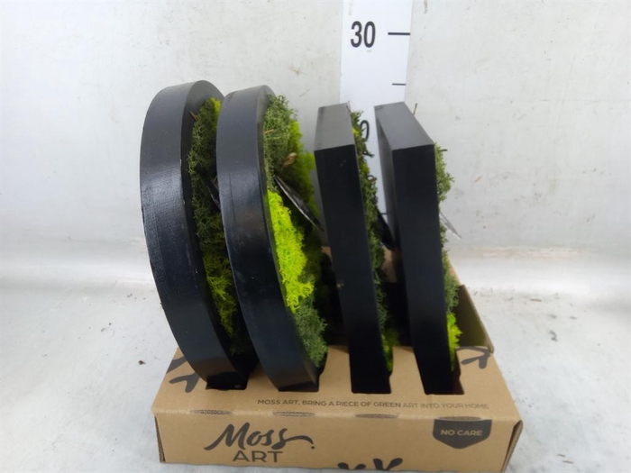 <h4>Decoratieve materialen   ...H%</h4>