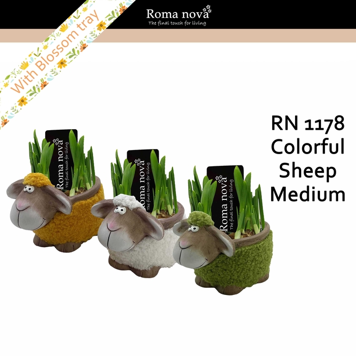 1178 - Colorful Sheep Medium (Tete a Tete)