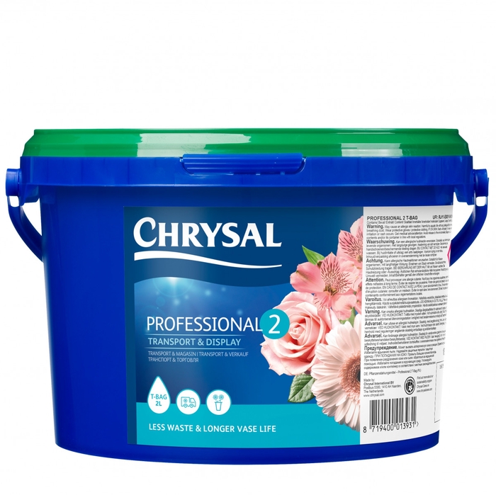 <h4>Verzorging Chrysal Prof.2 T-bag *100 2L</h4>