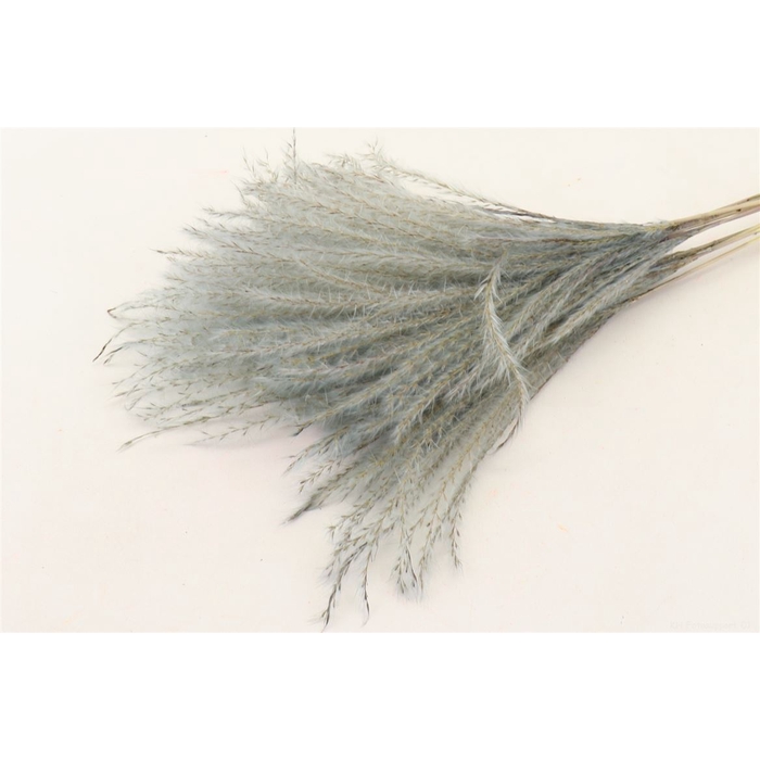 <h4>Bunch Fluffy Grass 10 Pcs L75 INV</h4>