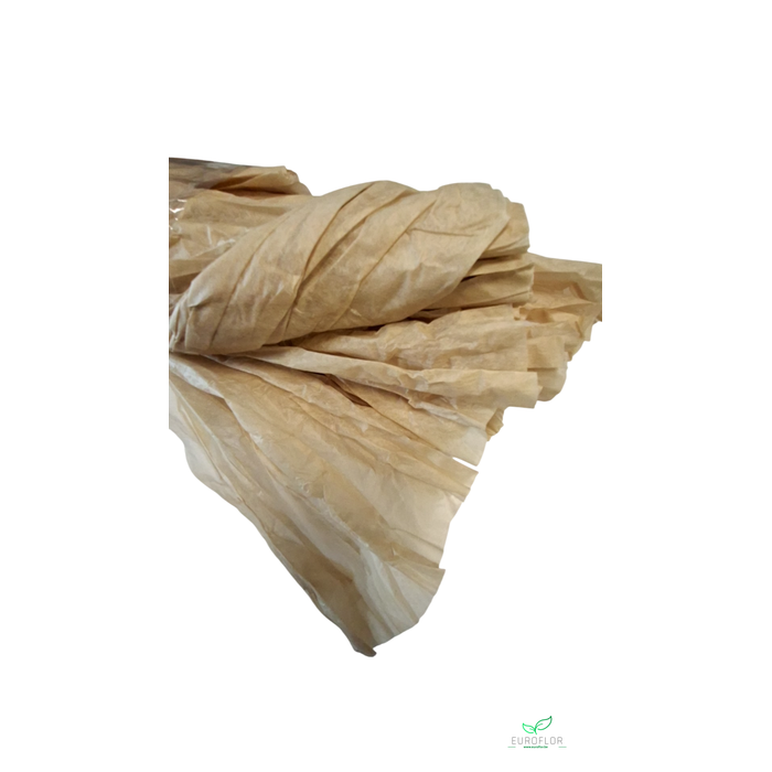 <h4>NON WOVEN SHEETS 50CMX1,5M HAZELNUT 5PCS</h4>