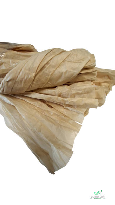 NON WOVEN SHEETS 50CMX1,5M HAZELNUT 5PCS