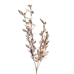 AF Senecio spray x5 L90cm grey