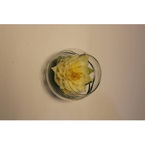 Bolvaas D12cm waterlelie