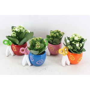 arr2 JS - Ker. potje met schaar mix x8