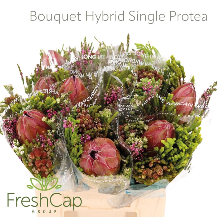 Bouquet Hybrid Single Protea