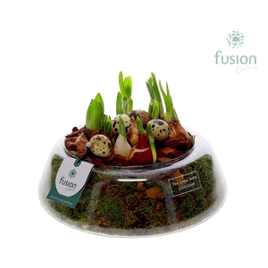 Green Bottle Christel Large Pasen met Bollen mix