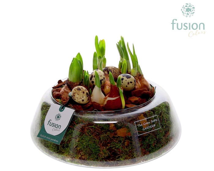 <h4>Green Bottle Christel Large Pasen met Bollen mix</h4>