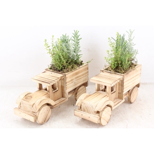 arr3 SN - Hout vrachtwagen 250/5