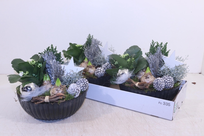 <h4>ARR TUINPLANTEN</h4>