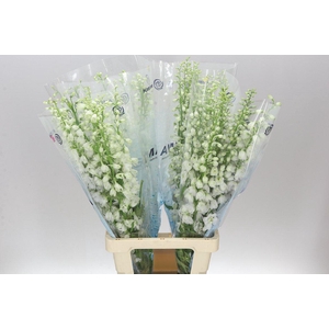 Delph El Candle White Shades