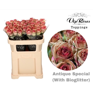 R GR ANTIQUE SPECIAL