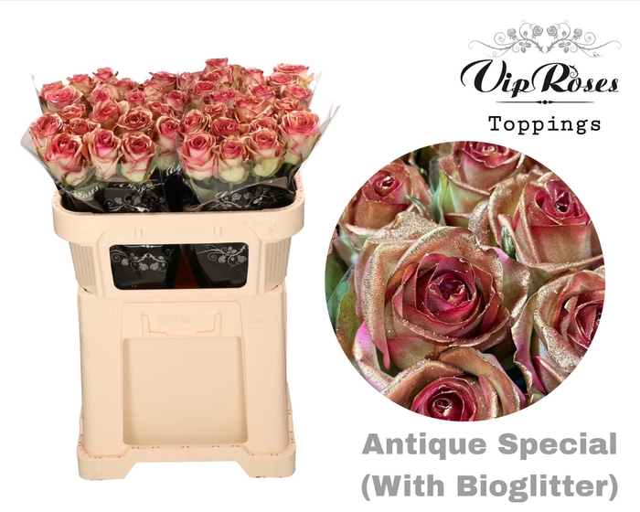 <h4>R GR ANTIQUE SPECIAL</h4>