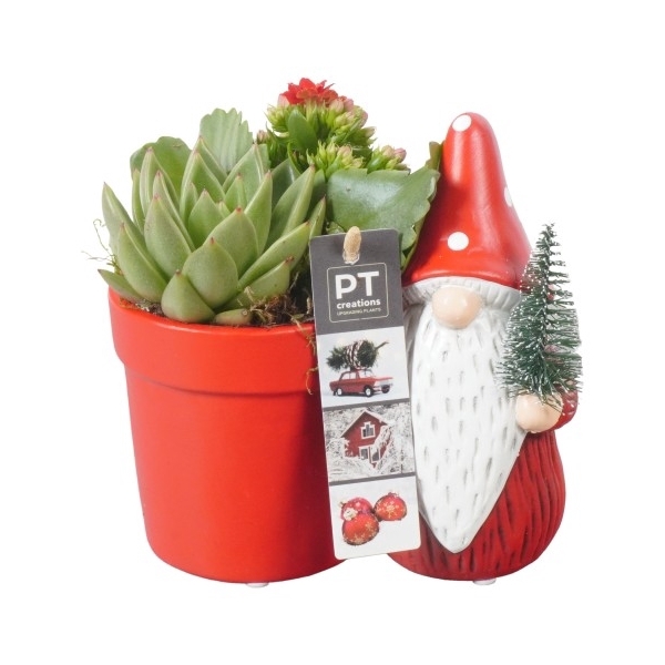 <h4>PTKB9384 Arrangement Kerst in keramiek pot</h4>