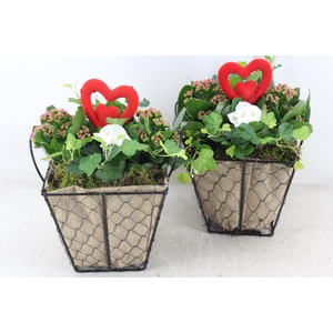 arr2 TD - Jute/gaas pot 4kant roze