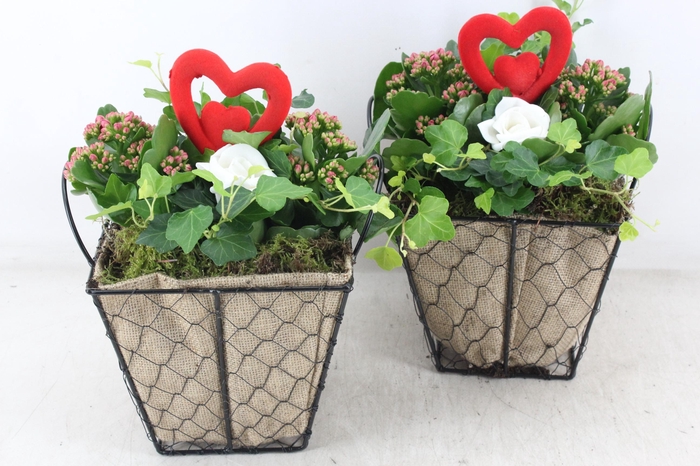 <h4>arr2 TD - Jute/gaas pot 4kant roze</h4>