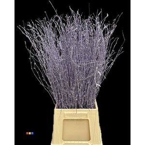 Betula / Berkentak Metallic Light Purple