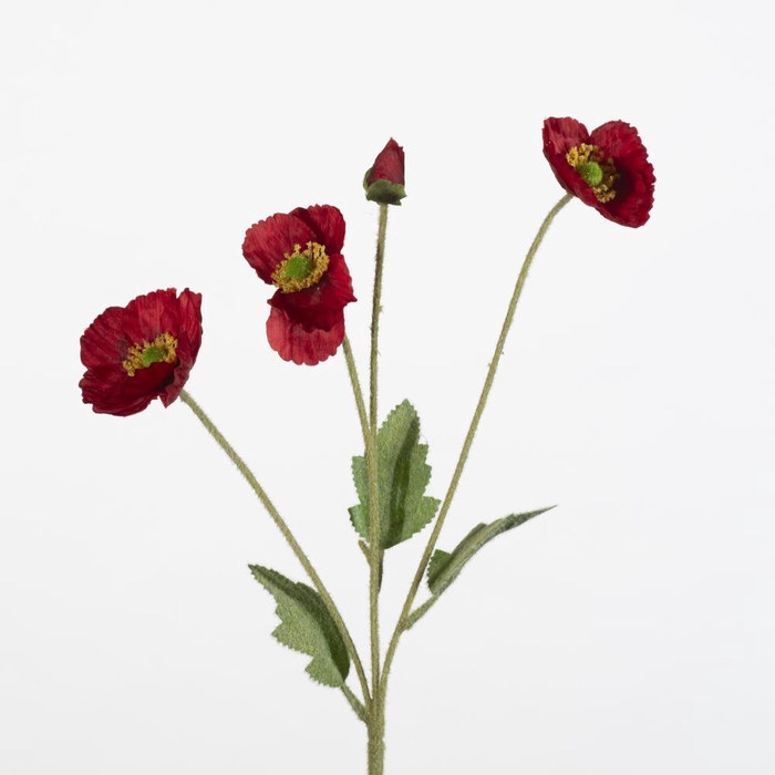 <h4>AF Papaver spr/4 fl L60cm red</h4>