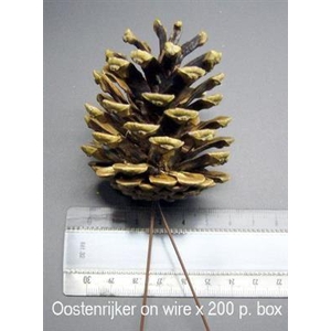 K.OOSTENRIJKER OP DRAAD KERST