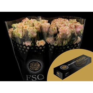 R Gr Caramel Macchiato Box