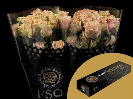 <h4>R Gr Caramel Macchiato Box</h4>