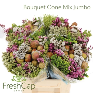 Bouquet Cone Mix Jumbo