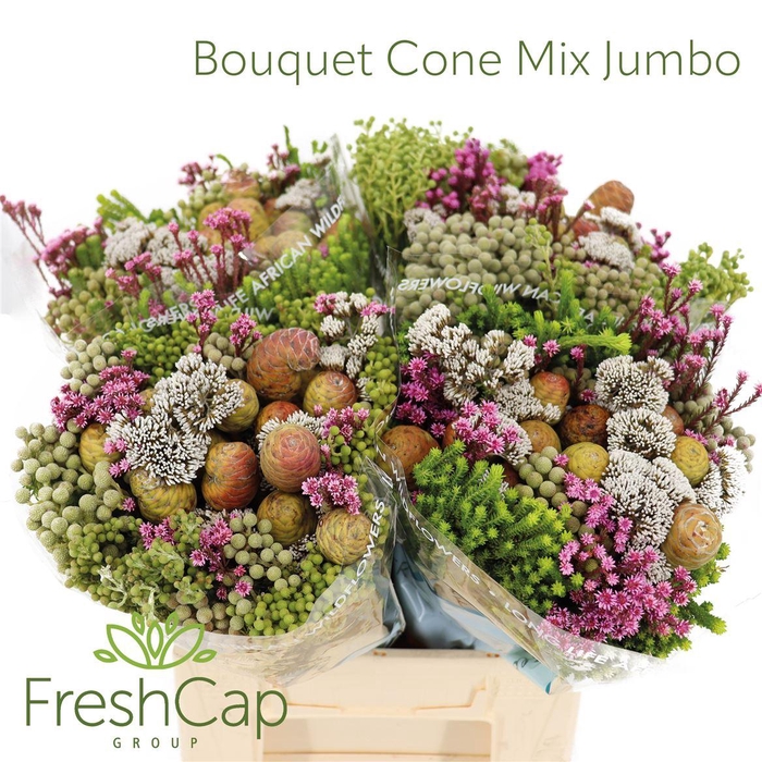 <h4>Bouquet Cone Mix Jumbo</h4>