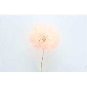 Pres Puste Flower Baby Satin Orange