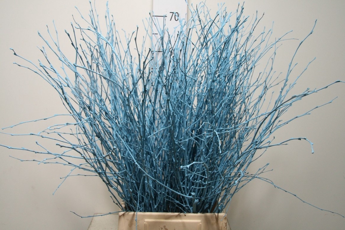 <h4>Berk 70cm L. Blue Bunch</h4>