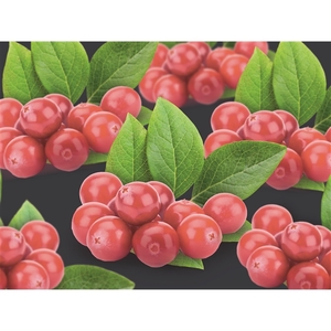 Vaccinium corymbosum 'Pink Berry' 3.0 label