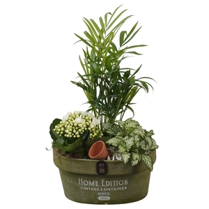 Arr.    Planten  L%