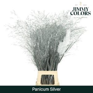 Siergras L90 Mtlc. Zilver