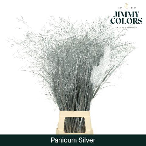 <h4>Siergras L90 Mtlc. zilver</h4>