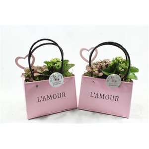 Zke01 Pink Bag