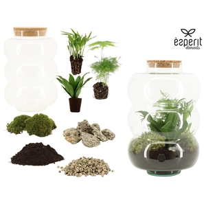 90860: DIY Terrarium arrangement