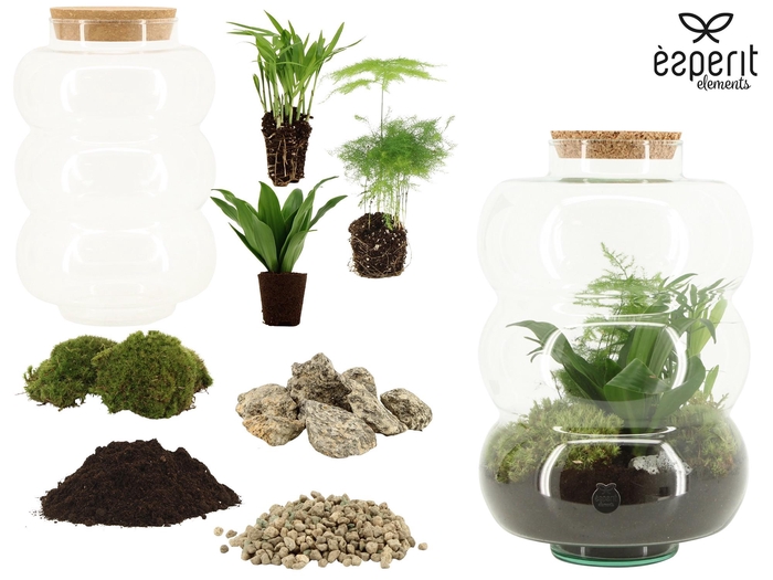 <h4>90860: DIY Terrarium arrangement</h4>