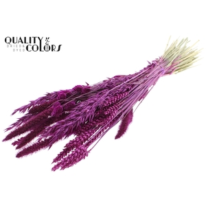 Dried Flower mix bunch Lilac
