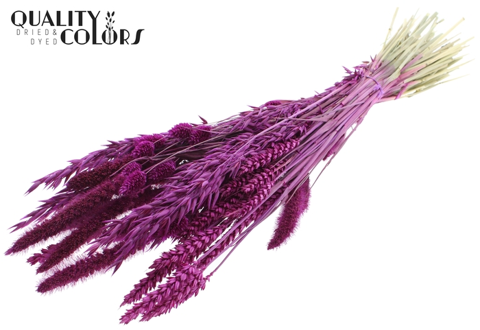 <h4>Dried Flower mix bunch Lilac</h4>