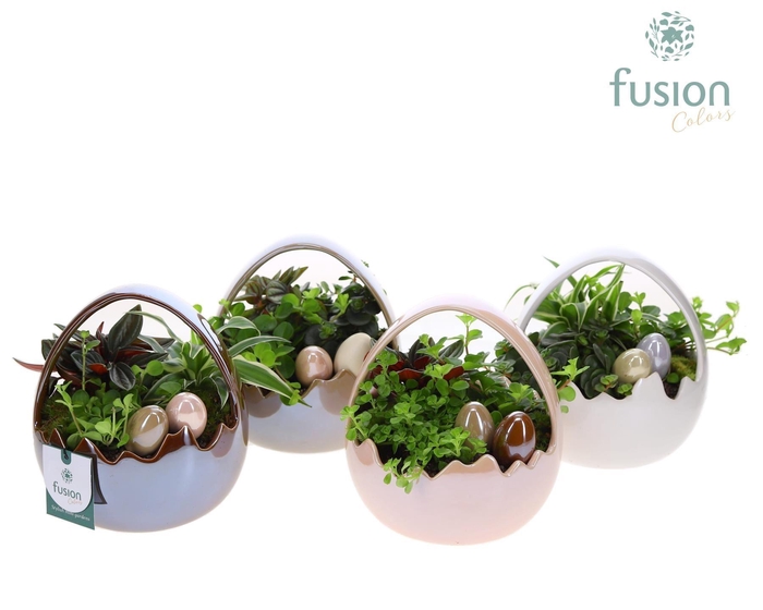 <h4>Arr. Pasen H%</h4>