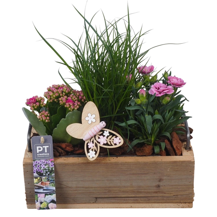 <h4>PTPP7052 Arrangement Patio in houten bak</h4>