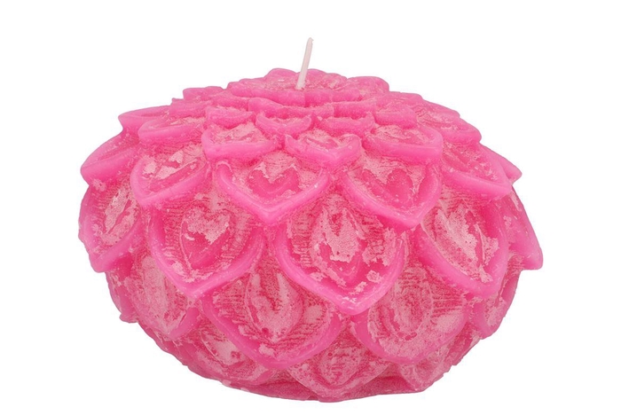 <h4>Candle Dahlia Fuchsia 15x10cm Nm</h4>