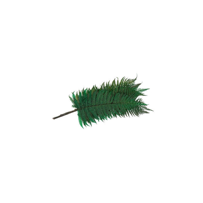 <h4>Fern Parchemin Green FPA/0102</h4>