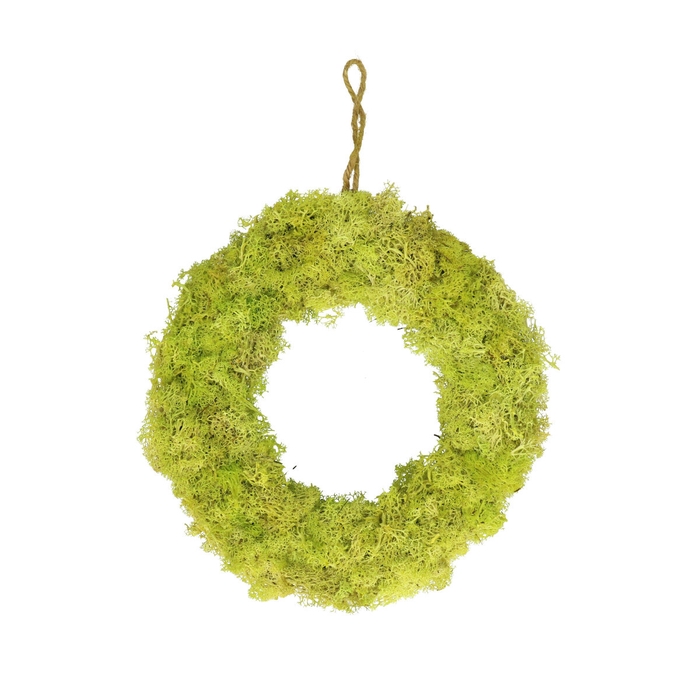 Wreath d30cm Reindeer moss