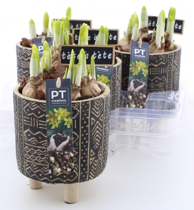 <h4>ARR N TETE A TETE</h4>