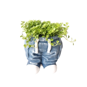 Arr.   Kamerplant Groen L%