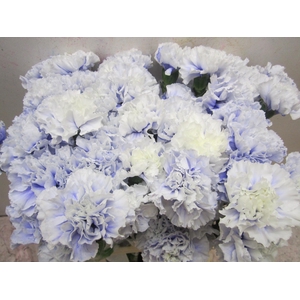 Di St G Pastel Lilac